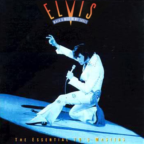Walk a Mile in My Shoes: The Essential '70s Masters - Elvis Presley-无损音乐下载