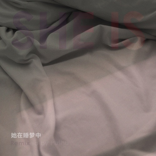 她在睡梦中remix – Single – 朴树-hiresz.com