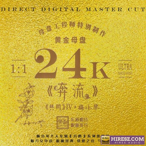 梅小琴.2024 -《奔流》头版限量编号24K黄金母盘[WAV+CUE]-hiresz.com