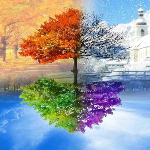 晨雾 - 佚名-无损音乐下载