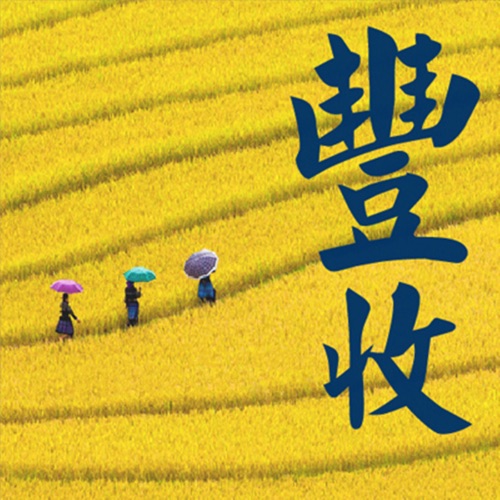丰收 – 贵族乐团-hiresz.com