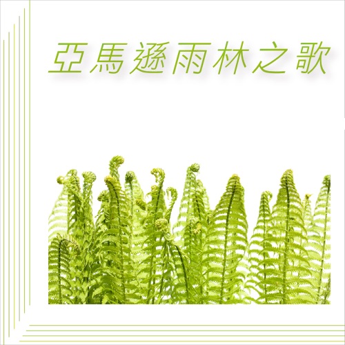 亚马逊雨林之歌 – 贵族乐团-hiresz.com