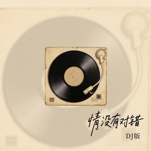 情没有对错 (DJ版) – Single – 孙悦-hiresz.com