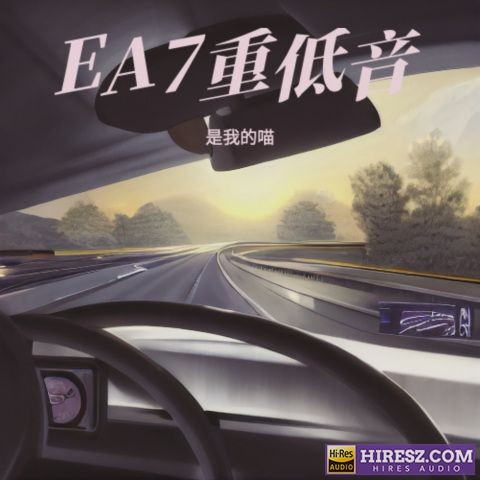 刺 车载DJ 84曲 192Khz/24bit 母带音质-hiresz.com