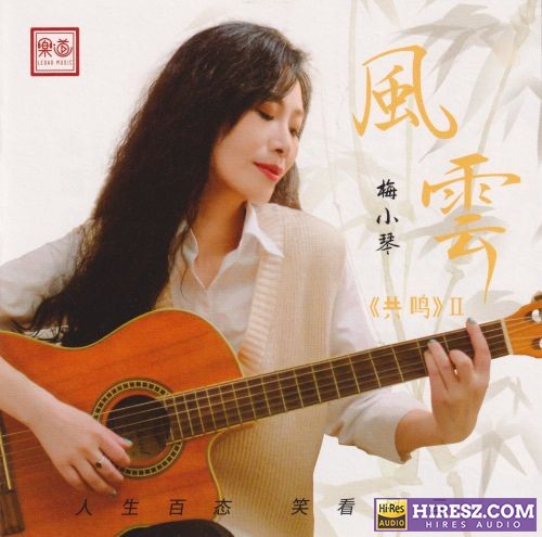 梅小琴.2023 -《风云》1：1母盘直刻24K金碟[低速原抓WAV+CUE]-hiresz.com