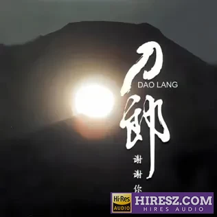 谢谢你 - 刀郎-无损音乐下载