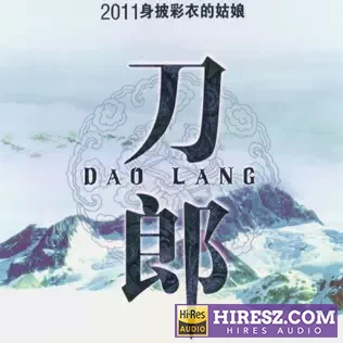 2011身披彩衣的姑娘 - 刀郎-无损音乐下载