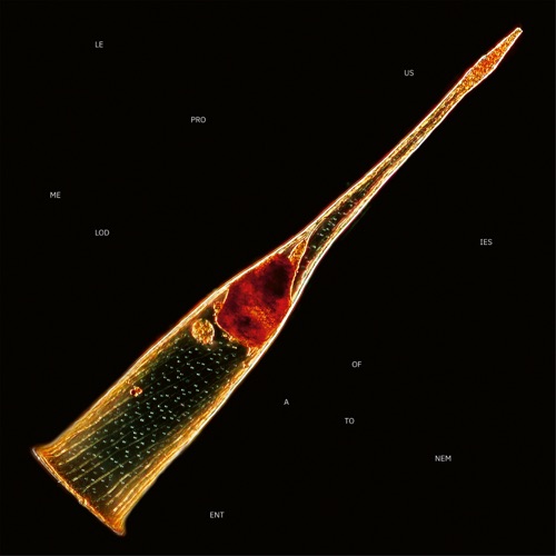 Melodies Of Atonement – Leprous-hiresz.com