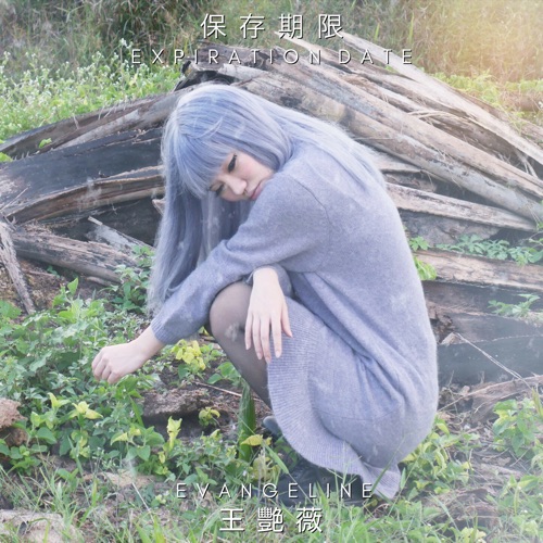 保存期限 - Single - 王艳薇-无损音乐下载
