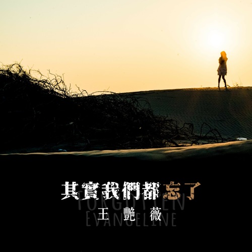 其实我们都忘了 - Single - 王艳薇-无损音乐下载