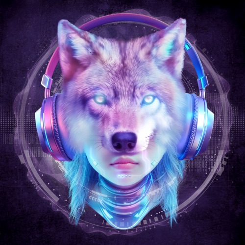 XDM Unidentified Waves - XG-无损音乐下载