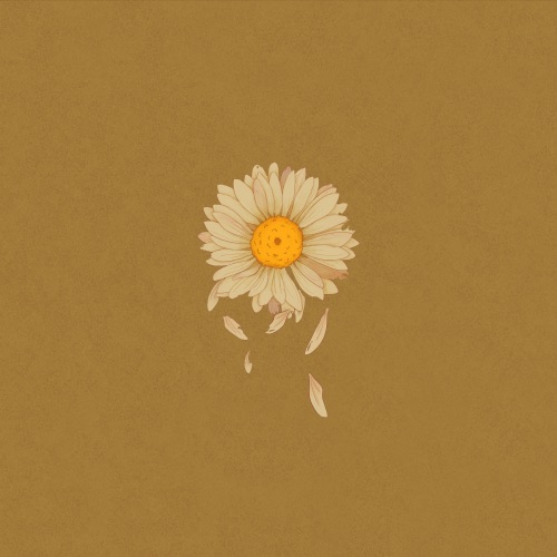 Daisy – Single – 柳爽-hiresz.com