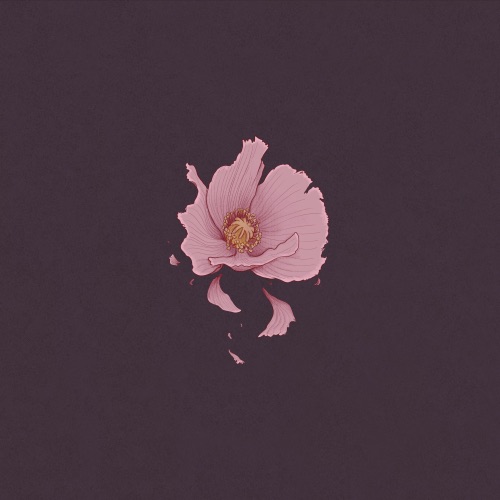 丑花:Somuns – Single – 柳爽-hiresz.com
