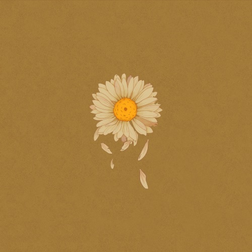 丑花:Daisy – EP – 柳爽-hiresz.com