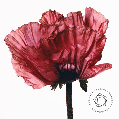 拉威尔：bolsamro – EP – 柏林爱乐乐团 & 基里尔 · 别特连科<p>Ravel: Boléro – EP </p>
-hiresz.com