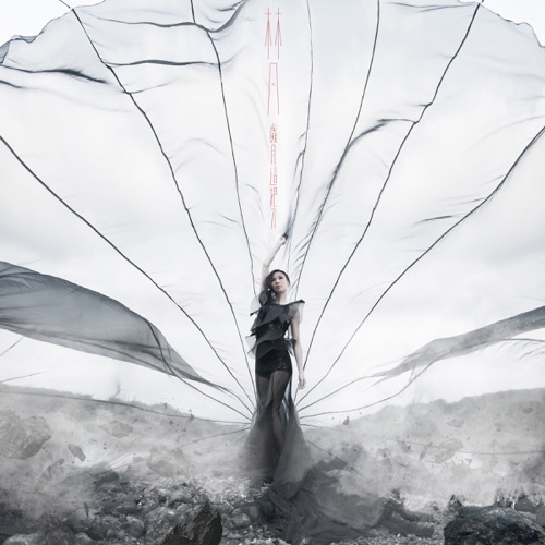 岁月这把刀 – 林凡-无损音乐下载