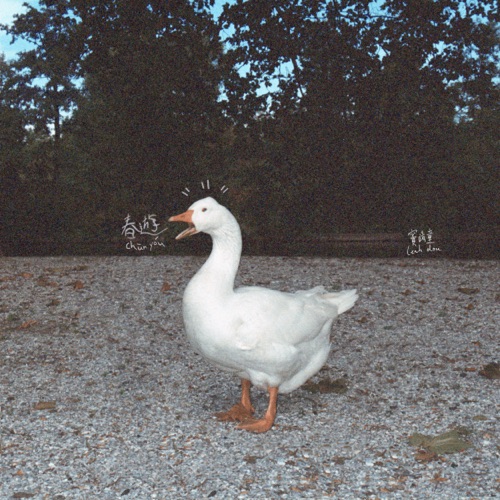 春游 – 窦靖童-无损音乐下载