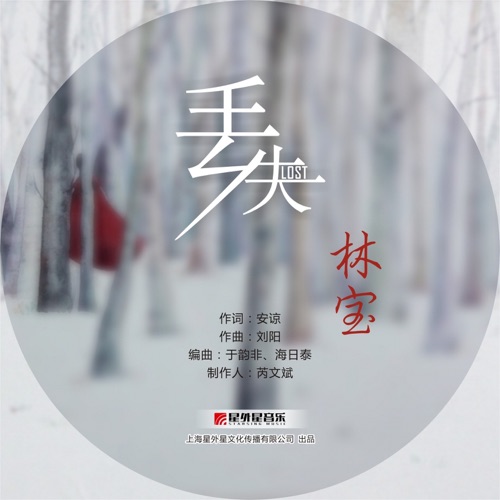 丢失 – Single – 林宝-hiresz.com