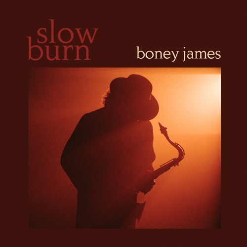 Slow Burn - Boney James-无损音乐下载