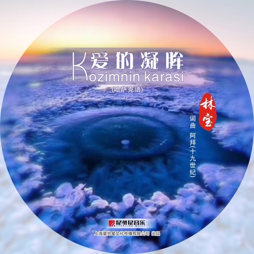 爱的凝眸 - Single - 林宝-无损音乐下载