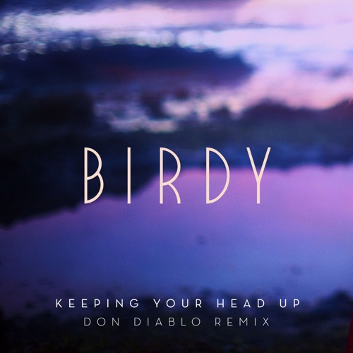 Keeping Your Head Up (Don Diablo Remix) [Extended] - Single - Birdy-无损音乐下载