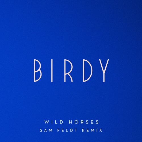 Wild Horses (Sam Feldt Remix) - Single - Birdy-无损音乐下载