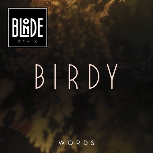 Words (Blonde Remix) [Extended] – Single – Birdy-无损音乐下载