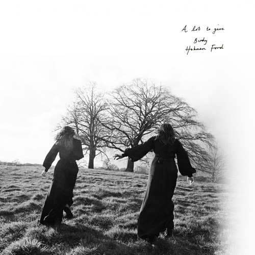 A Lot to Give - Single - Hohnen Ford & Birdy-无损音乐下载