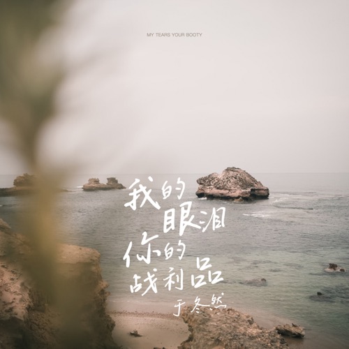 我的眼泪你的战利品 (DJ沈念版) - Single - 于冬然-无损音乐下载