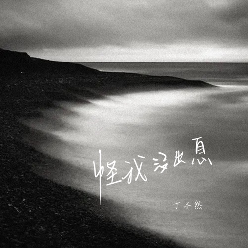 怪我没出息 - Single - 于冬然-无损音乐下载