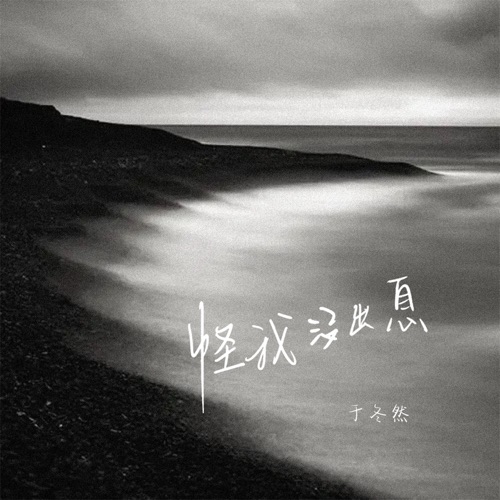 怪我没出息 (DJ版) - Single - 于冬然-无损音乐下载