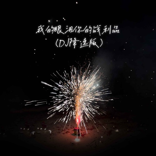 我的眼泪你的战利品 (DJ降速版) - Single - 于冬然-无损音乐下载