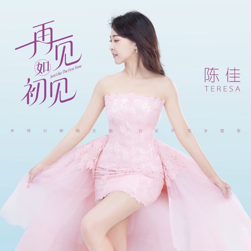 再见如初见 - 陈佳-无损音乐下载