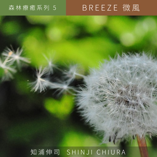 森林疗愈系列5 - 微风 - 知浦伸司-无损音乐下载