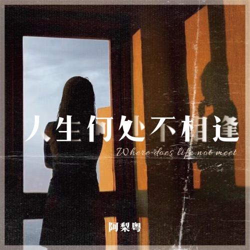 人生何处不相逢 - Single - 阿梨粤-无损音乐下载