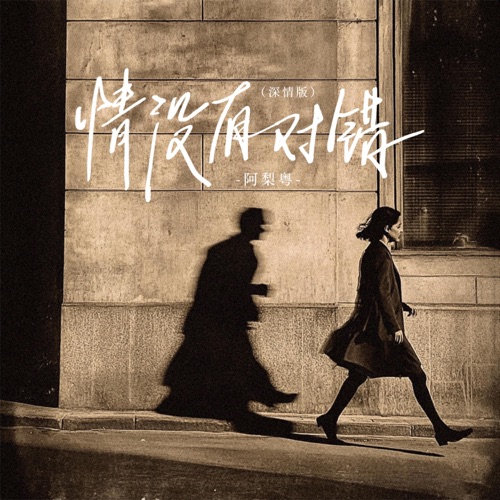 情没有对错 (深情版) - Single - 阿梨粤-无损音乐下载