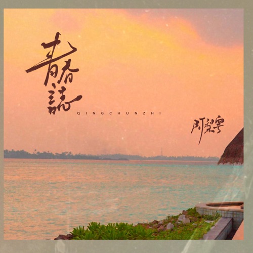 青春志 - Single - 阿梨粤-无损音乐下载