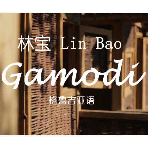 Gamodi - Single - 林宝-无损音乐下载