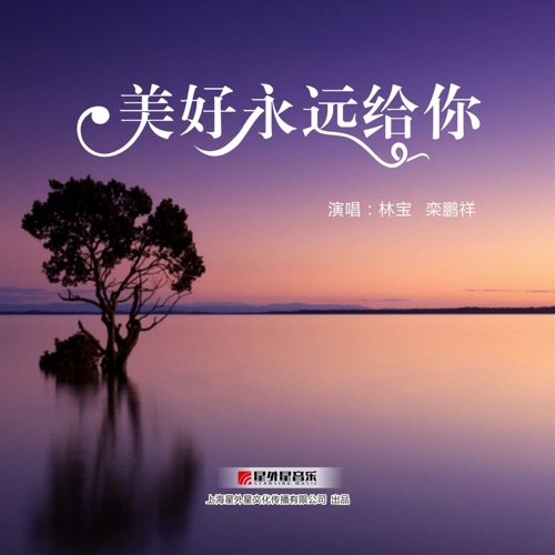 美好永远给你 – Single – 林宝 & 栾鹏翔-hiresz.com