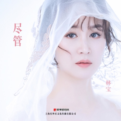 尽管 (中文版) – Single – 林宝-hiresz.com