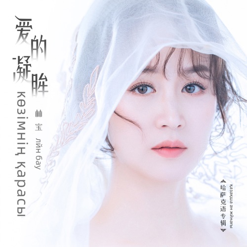 爱的凝眸 (哈萨克语专辑) – 林宝-hiresz.com