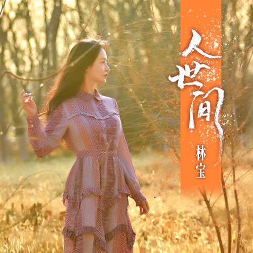 人世间 – Single – 林宝-hiresz.com