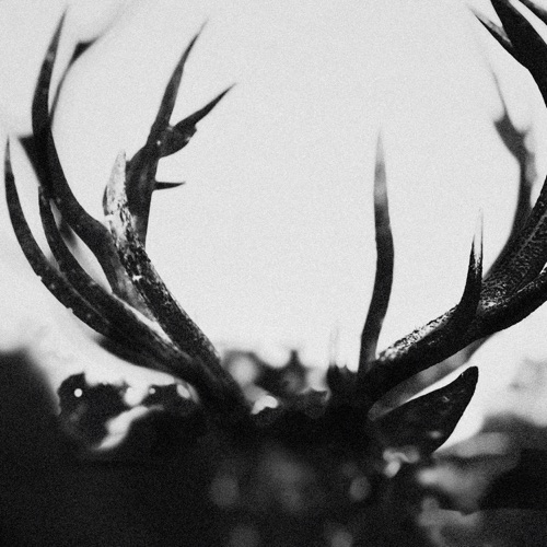 Ihsahn – Ihsahn-hiresz.com