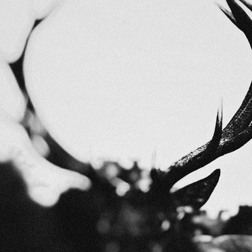 IHSAHN (Orchestral Version) – Ihsahn-hiresz.com
