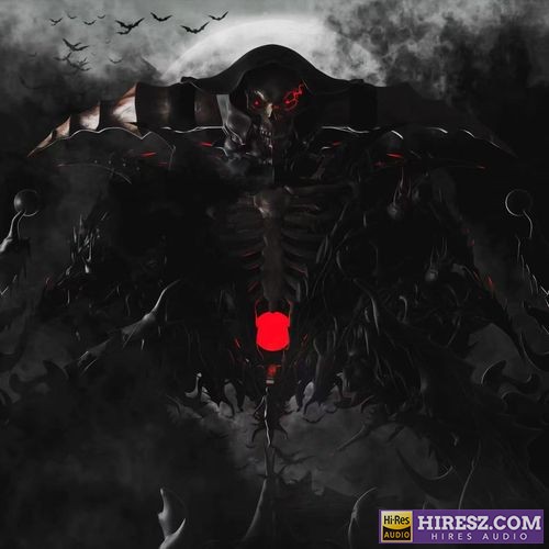SASIOVERLXRD 纳萨力克-hiresz.com