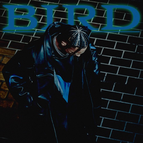 Bird – Single – Pronto-无损音乐下载
