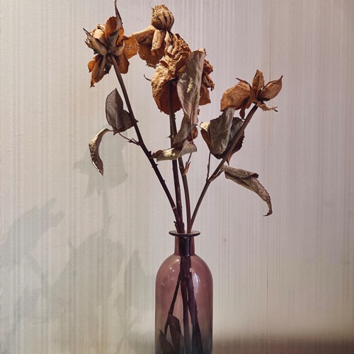 遗失的珍宝 - Single - 尹一鸣-无损音乐下载