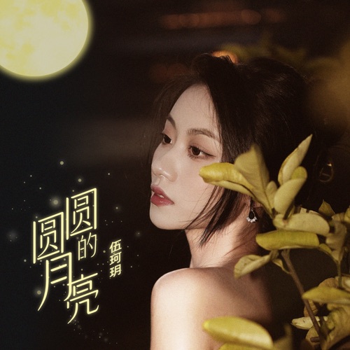 圆圆的月亮 – Single – 伍珂玥-无损音乐下载