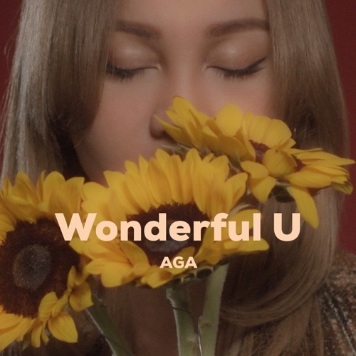 Wonderful U - Single - AGA-无损音乐下载