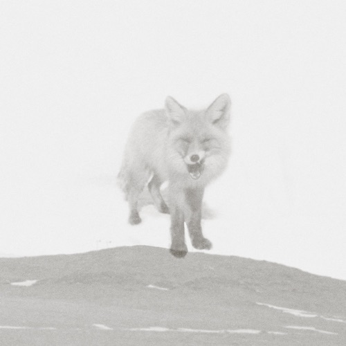 共同的土地 - 缺省-无损音乐下载